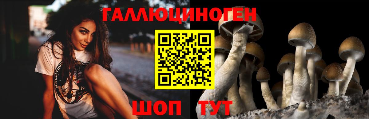 Псилоцибиновые грибы ЛСД  Вход с VPN  сколько стоит  Галлюциногенные грибы мицелий  Искитим 